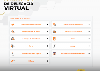 Delegacia Virtual completa nove anos; veja como ocorrências são registradas