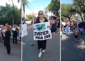 Manifestação pede pena máxima para suspeito que matou cachorra queimada