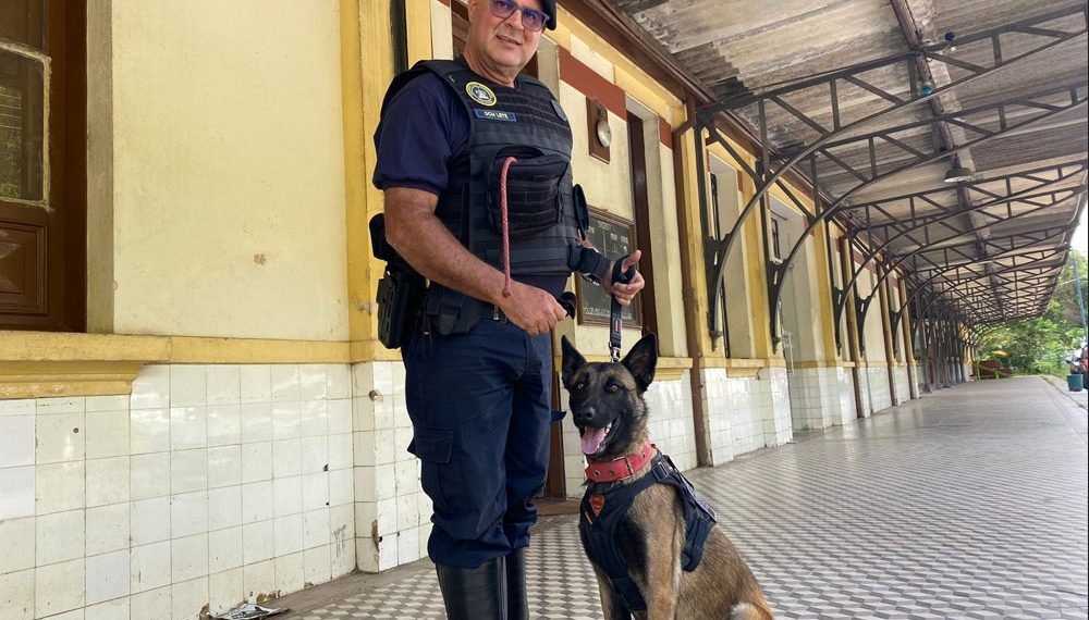 Guarda Civil Municipal de Poços de Caldas faz treinamento com cadela de faro para implantação de canil