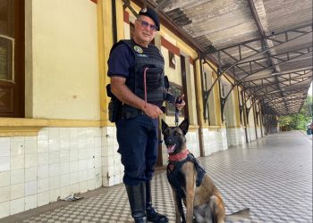 Guarda Civil Municipal de Poços de Caldas faz treinamento com cadela de faro para implantação de canil