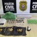 Polícia Civil prende traficante foragido e apreende drogas na Zona Sul de Poços de Caldas