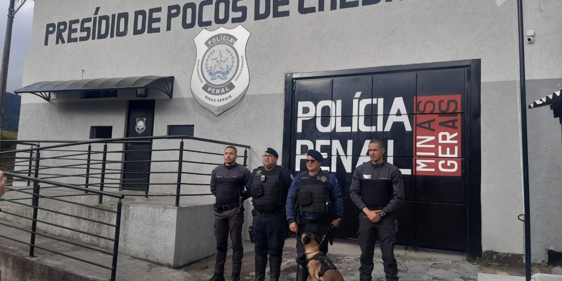 Canil da GCM e Polícia Penal realizam operação no presídio de Poços de Caldas