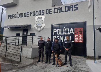Canil da GCM e Polícia Penal realizam operação no presídio de Poços de Caldas