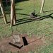 Frequentadores mostram precariedade de brinquedos do Parque Ecológico na zona sul de Poços