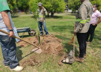 Secretário diz que até dezembro de 2024 serão plantadas 27 mil árvores em Poços de Caldas