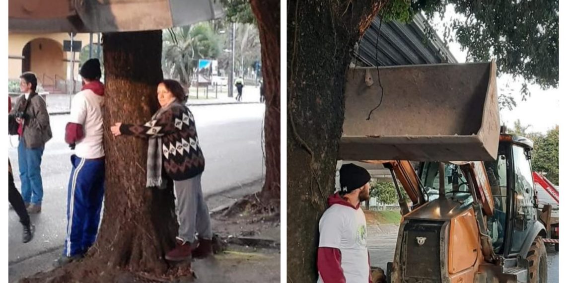 Ativistas abraçam árvores e impedem cortes na Avenida João Pinheiro em Poços de Caldas