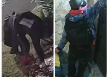 Vídeo: homem é flagrado furtando plantas de bairro em Poços; furtos recorrentes revoltam moradores