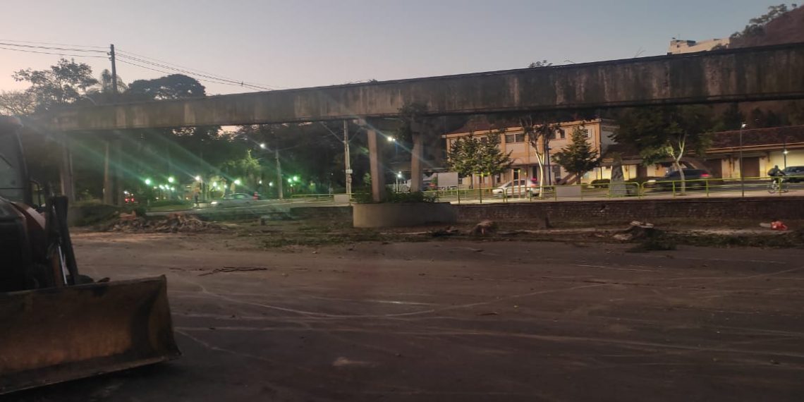 Prefeitura realiza corte de árvores na madrugada desta quarta em Poços de Caldas