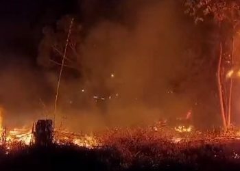 Incêndio consome 10 mil metros quadrados de vegetação na zona leste de Poços de Caldas