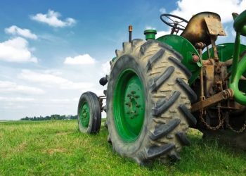 Agropecuária lidera na geração de empregos em junho em Campestre 