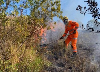 Bombeiros de Poços de Caldas combatem incêndio próximo ao Cemitério Parque