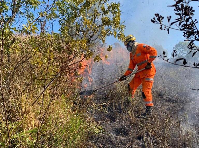 Bombeiros de Poços de Caldas combatem incêndio próximo ao Cemitério Parque