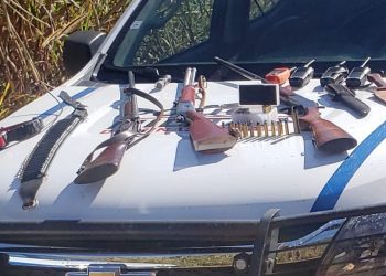 PM apreende cães, armas e materiais utilizados em caça e prende suspeito em Poços de Caldas