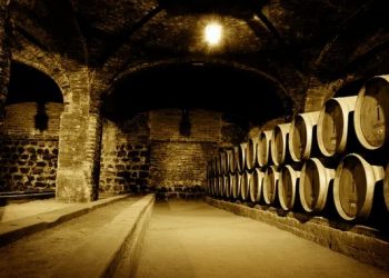 A cenografia das vinícolas