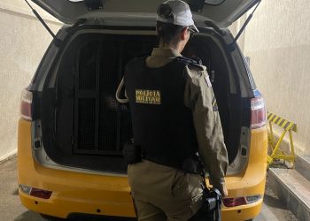 Polícia Militar Rodoviária captura foragido durante fiscalização em Poços de Caldas