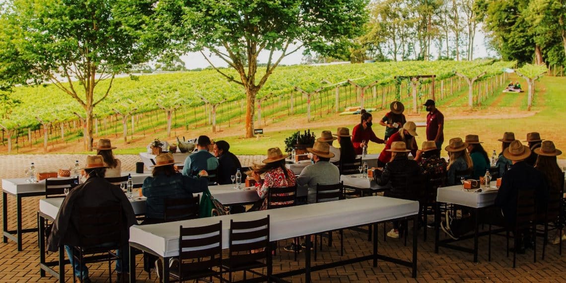 Novas técnicas aperfeiçoam tradição