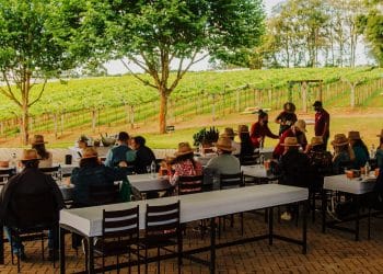 Novas técnicas aperfeiçoam tradição