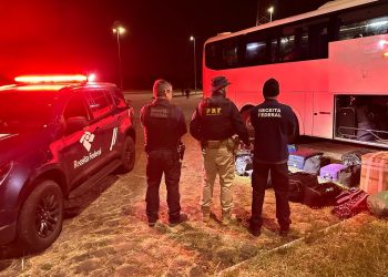 Receita Federal apreende mais de R$ 10 milhões em mercadorias contrabandeadas em 2023 no Sul de MG