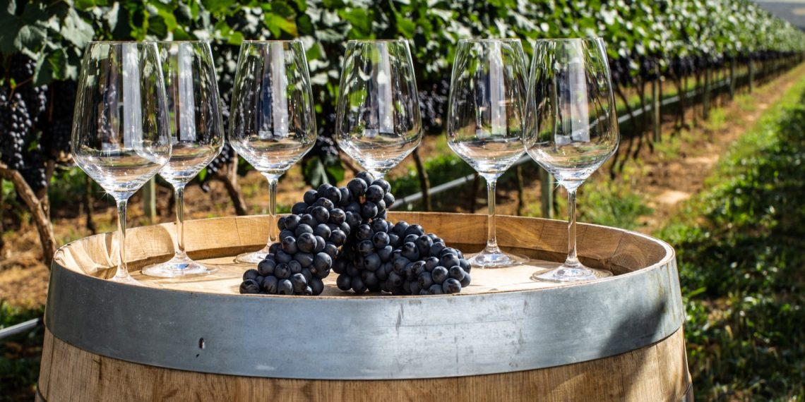 A exclusividade das vinícolas boutique