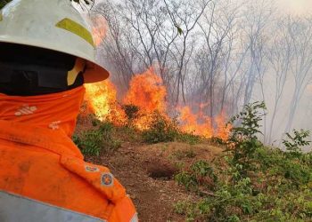Governo de Minas intensifica ações para coibir incêndios criminosos