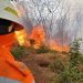 Governo de Minas intensifica ações para coibir incêndios criminosos