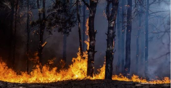 Bombeiros reforçam a importância da prevenção contra incêndios