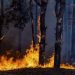 Bombeiros reforçam a importância da prevenção contra incêndios