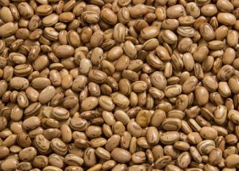 Itens da cesta básica registram queda nos preços em julho em Poços de Caldas