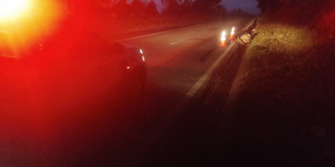 Cavalo morre atropelado após entrar na Rodovia do Contorno em Poços de Caldas