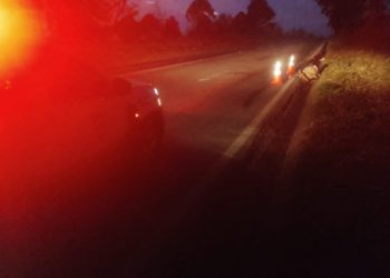 Cavalo morre atropelado após entrar na Rodovia do Contorno em Poços de Caldas