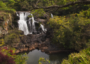 Projeto ‘Olhar Sulfuroso’ anuncia mais um curso de fotografia e preservação patrimonial
