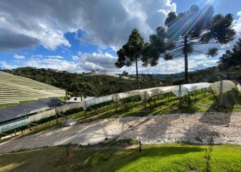 Sem intervenção, o sabor da Serra da Mantiqueira