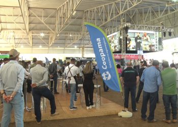 19ª Edição da FENEC – Feira de Negócios Coopama teve início nesta terça-feira