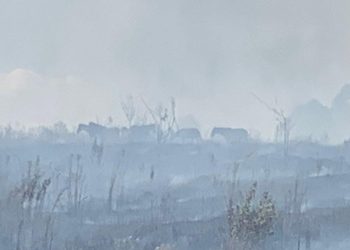 Bombeiros salvam cavalos em incêndio em Poços de Caldas