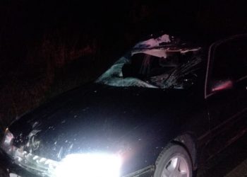Acidente entre carro e animal na Rodovia MGC-146 em Poços deixa três pessoas levemente feridas