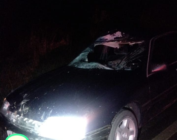 Acidente entre carro e animal na Rodovia MGC-146 em Poços deixa três pessoas levemente feridas