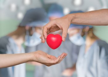 Diga sim: campanha Setembro Verde busca conscientizar população sobre doação de órgãos