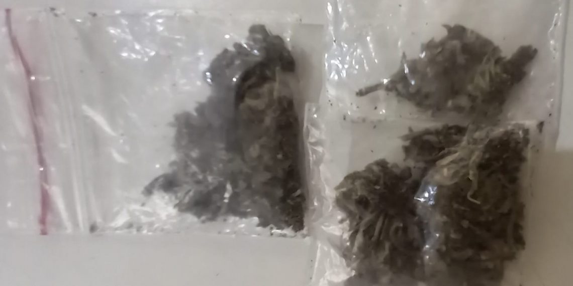 Vigias encontram drogas em parque de Poços de Caldas