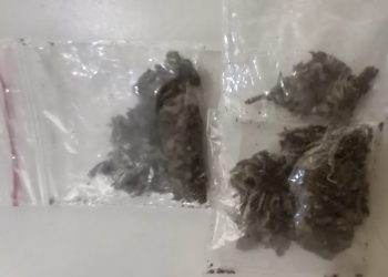 Vigias encontram drogas em parque de Poços de Caldas