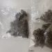 Vigias encontram drogas em parque de Poços de Caldas