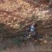 VÍDEO | Homem é flagrado furtando bicicleta na zona leste em Poços de Caldas