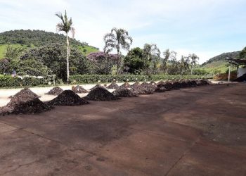 Municípios mineiros podem ganhar até R$ 1 milhão para projetos de compostagem