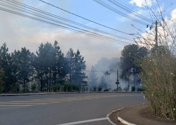 Incêndio consome vegetação na região oeste de Poços de Caldas