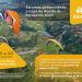 Copa do Mundo de Parapente, patrocinada pela Alcoa, reunirá 125 atletas internacionais