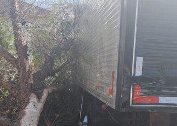 Caminhão desce rua sozinho e atinge árvore em Poços de Caldas
