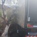 Caminhão desce rua sozinho e atinge árvore em Poços de Caldas