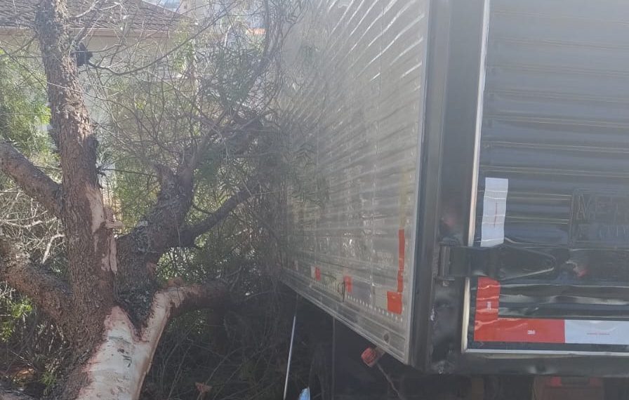 Caminhão desce rua sozinho e atinge árvore em Poços de Caldas