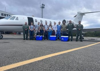 Três órgãos são captados no Sul de Minas para transplantes