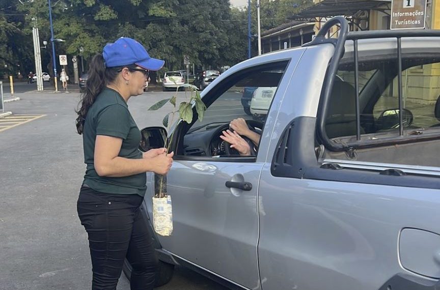 Dia da Árvore: Prefeitura realiza distribuição de mudas de árvores frutíferas em Poços de Caldas