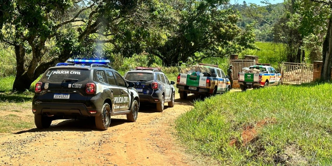 Operação conjunta resulta na apreensão de quase 300 pássaros silvestres e prisão de 13 pessoas no Sul de Minas